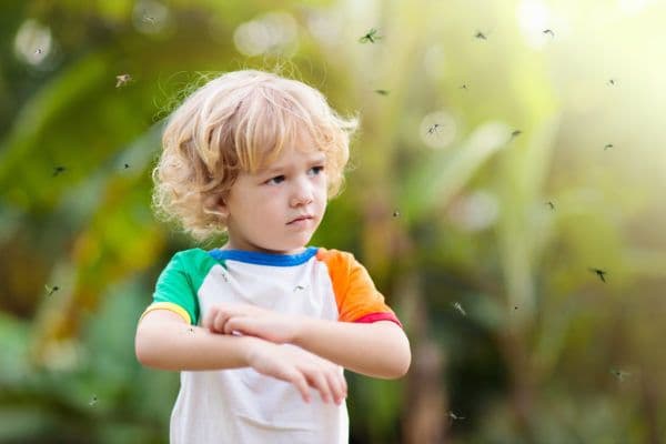 mosquito on kids skin little
