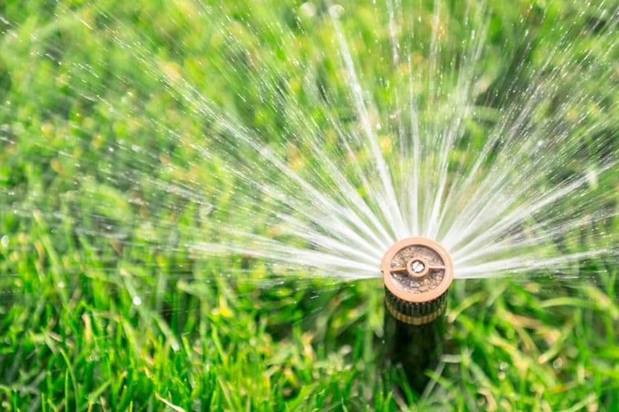 lyfe mosquito sprinkler