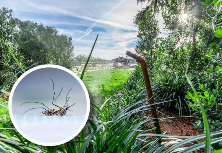 mosquito-barrier-system