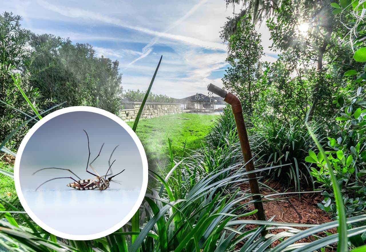 mosquito barrier system