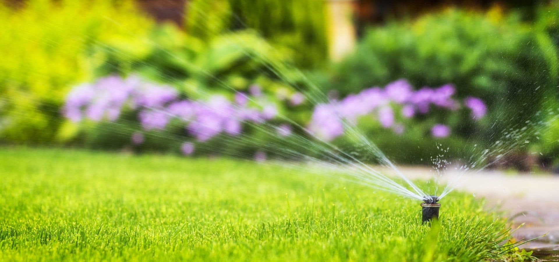 mosquitogo sprinklers